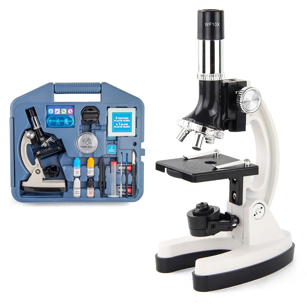 Microscope d’initiation 100×, 400× et 1200× avec mallette
