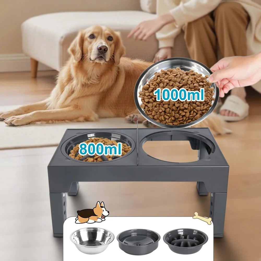 Gamelles surélevées réglables pour chien