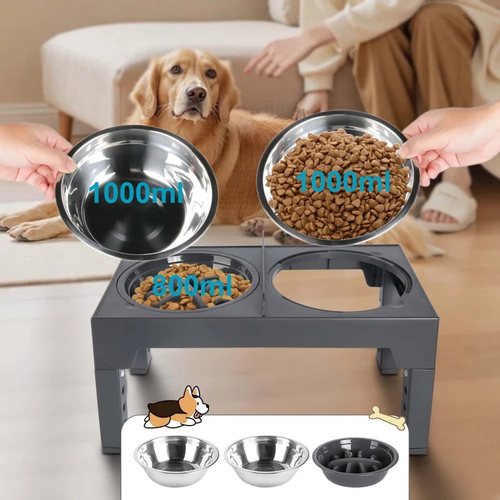 Gamelles surélevées réglables pour chien