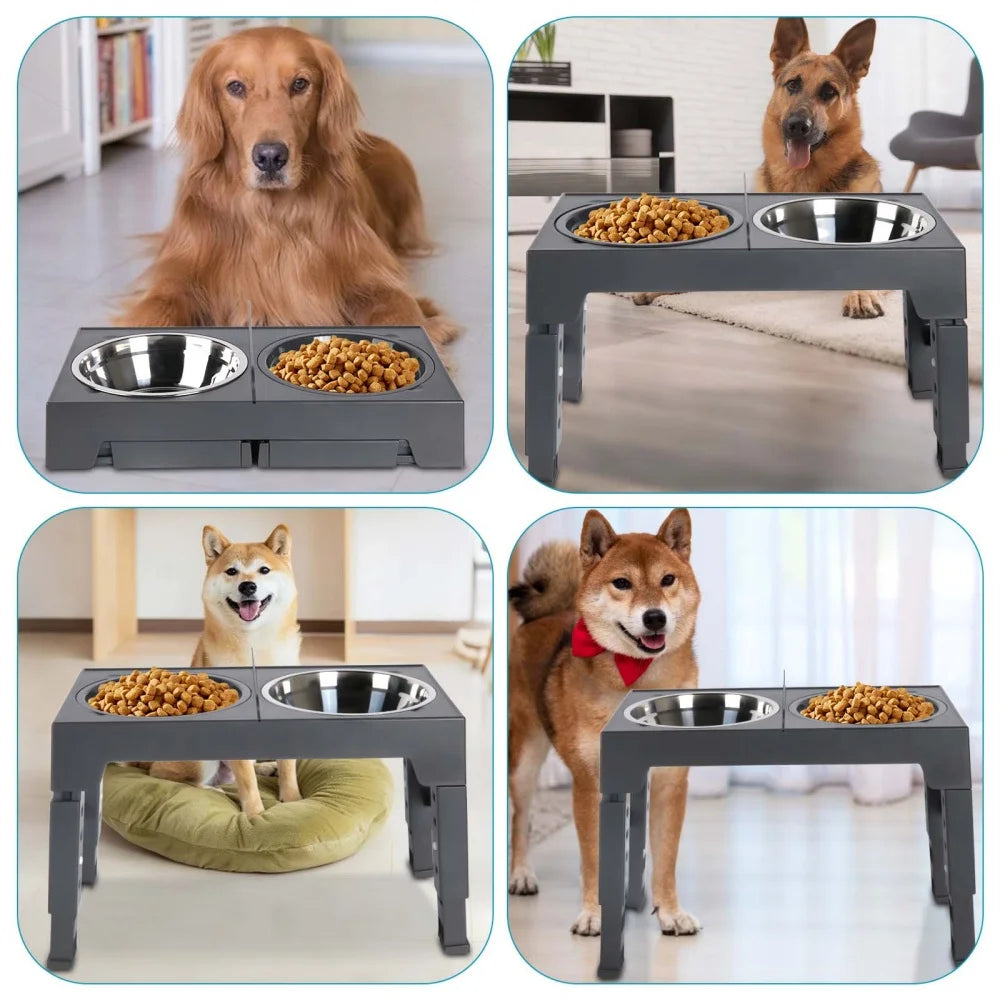 Gamelles surélevées réglables pour chien