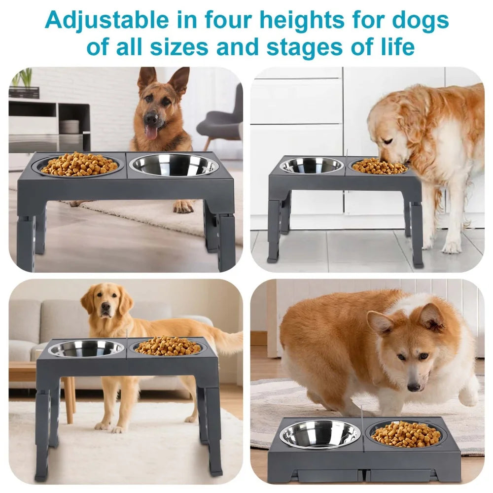Gamelles surélevées réglables pour chien