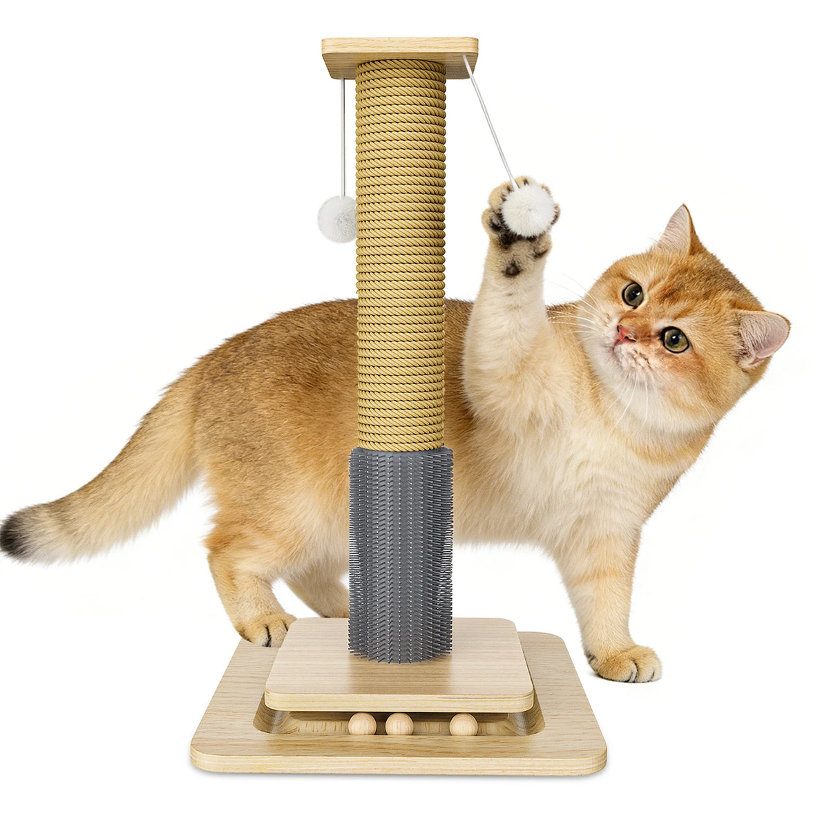 Griffoir pour chat 2 niveaux avec balles et jouet suspendu