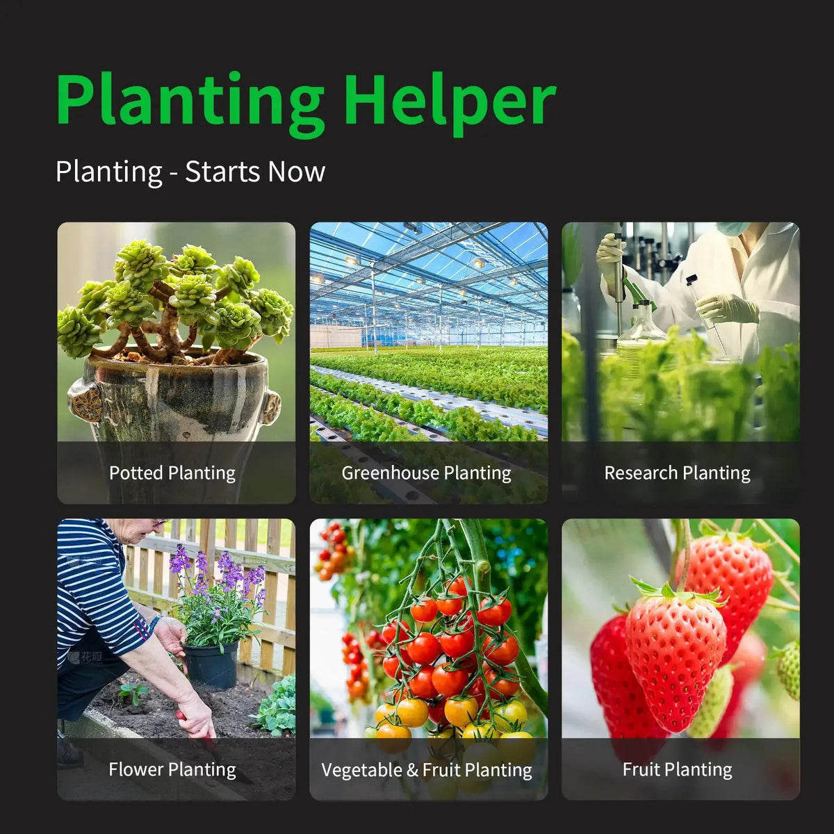 Testeur de sol pour jardin – pH et humidité - APPRO-DISTRI