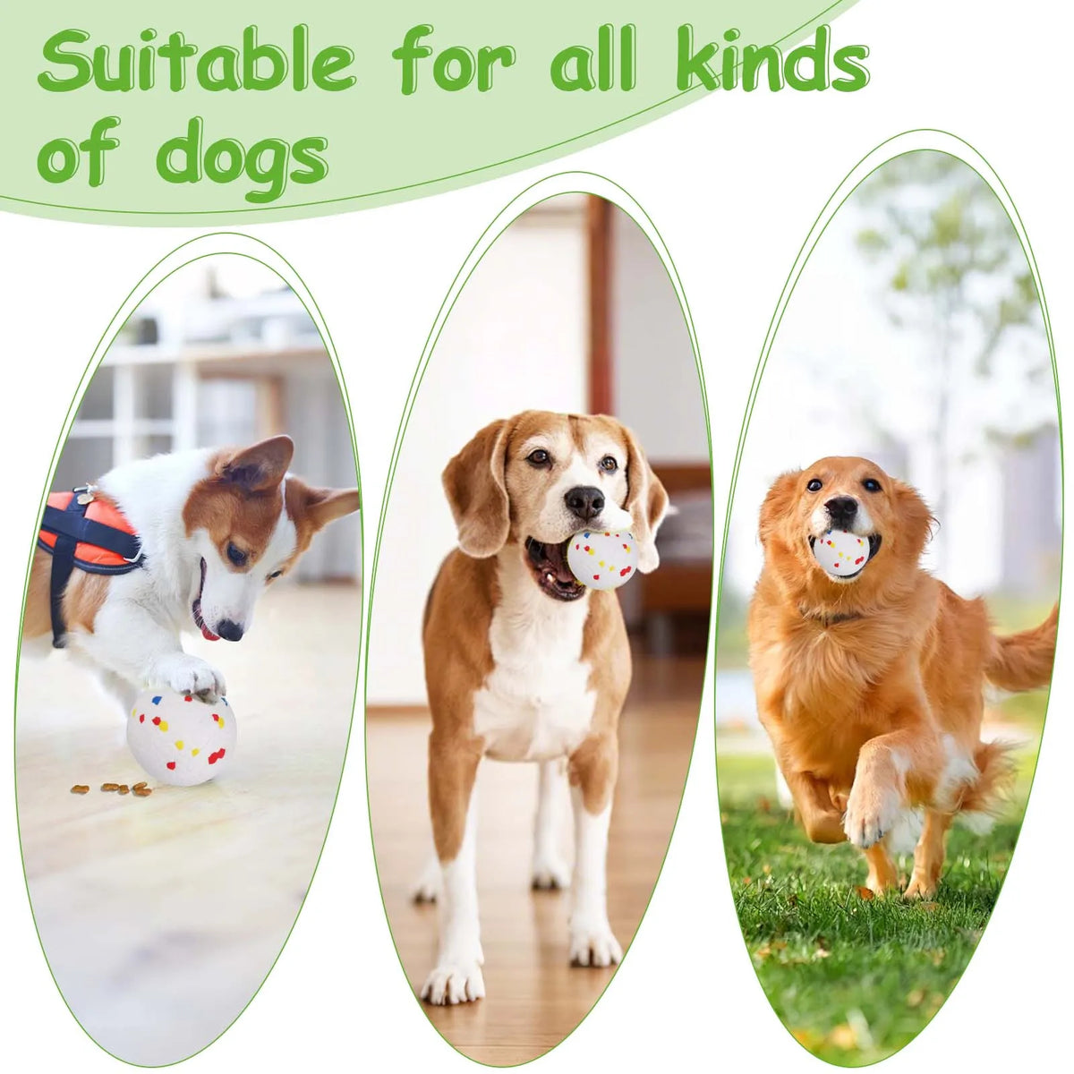 Lanceur automatique de balles pour chien rechargeable