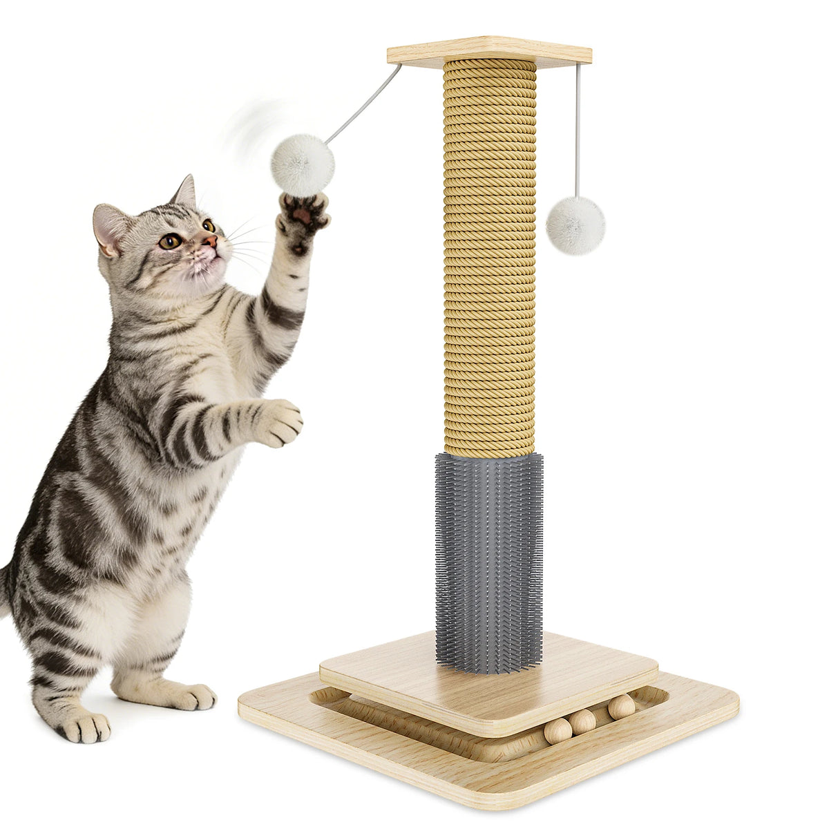 Griffoir pour chat 2 niveaux avec balles et jouet suspendu