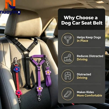 Laisse de sécurité réglable pour chien en voiture