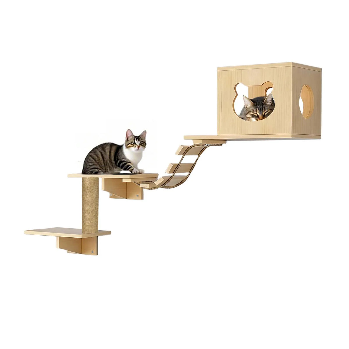 Arbre à chat mural en bois de pin, 3 niveaux avec griffoir