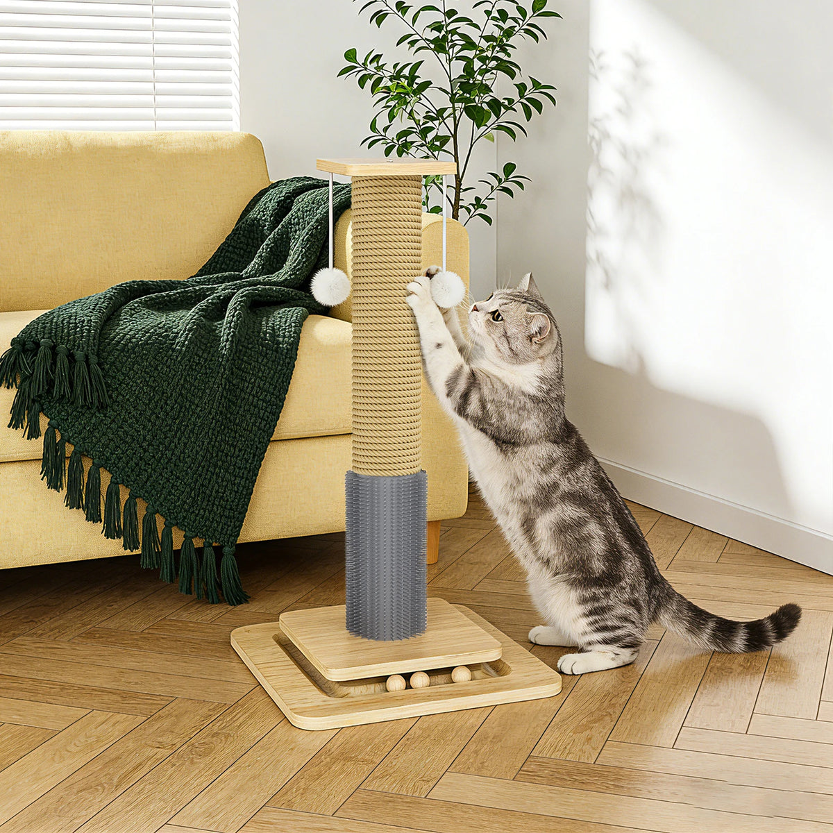 Griffoir pour chat 2 niveaux avec balles et jouet suspendu